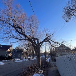 Meet your Posher, Gretchen